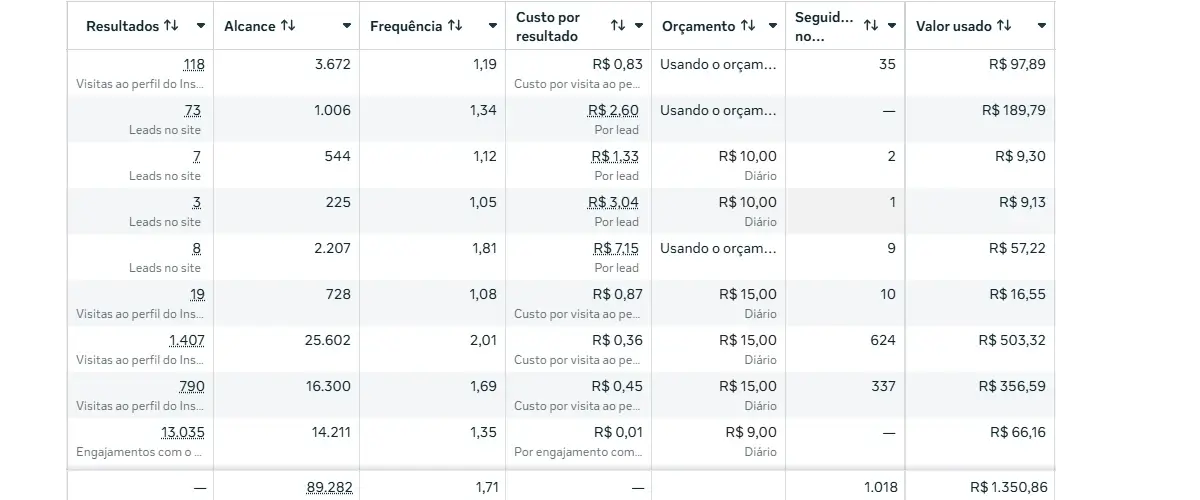 Resultados Meta Ads - Campanha de Conversão